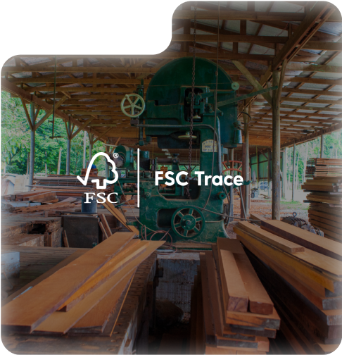 FSC case link
